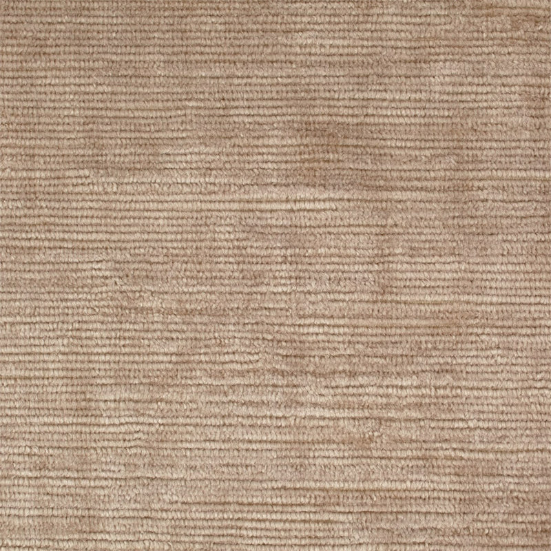 Regina Fabric, Shell