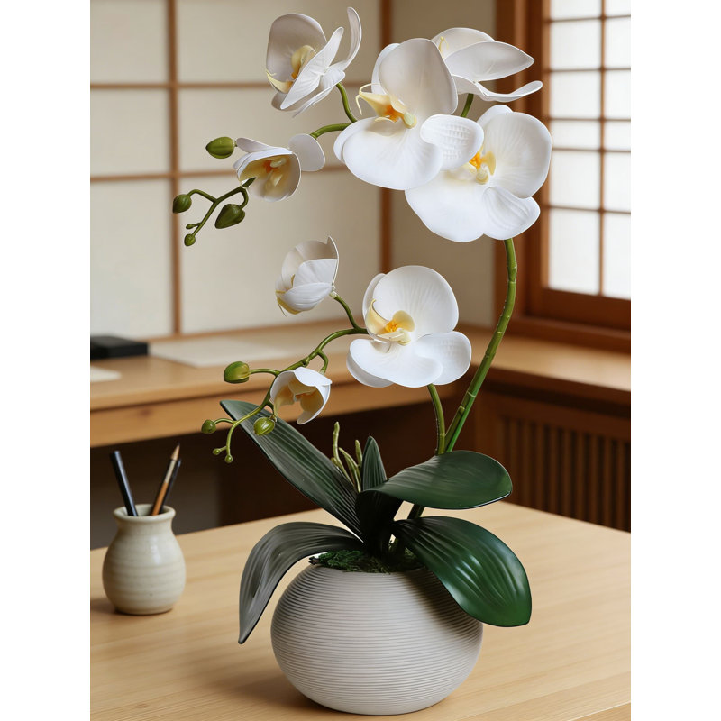 Orchidée artificielle dans un vase en céramique Real Touch