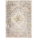 Flatiron Oriental Indoor Rug