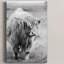 Gretna Green Highland - Photographie sur toile tendue-1898991780