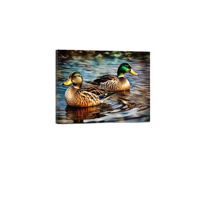 Mallard Duck Swimming，Built-In Back Wood Frame Wall Art，36 X 24
