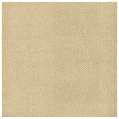 Indoor Rug