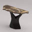 Arboresce Live-Edge Petrified Wood Console Table