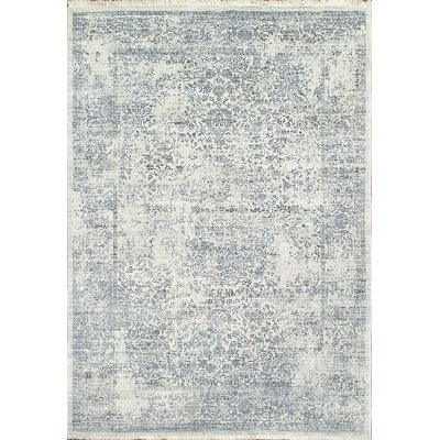 Newkirk Viscose Oriental Indoor Rug