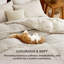 Ensemble de housse de couette Bedure-109947919