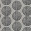 Black/Gray