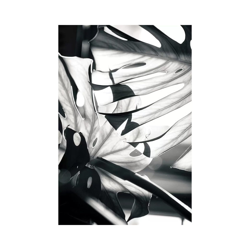 Mono Leaves 1 Piece Wrapped Canvas Painting, 101.6 cm H x 66.04 cm W x 3.175 cm D