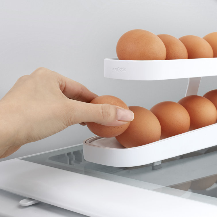 https://assets.wfcdn.com/im/80937241/resize-h755-w755%5Ecompr-r85/2088/208811916/YouCopia%C2%AE+RollDown%E2%84%A2+Refrigerator+Egg+Dispenser%2C+Space-Saving+Egg+Storage.jpg