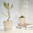 2 Piece Ceramic Plant Pot with Drainage Holes and Saucers-1704697615
