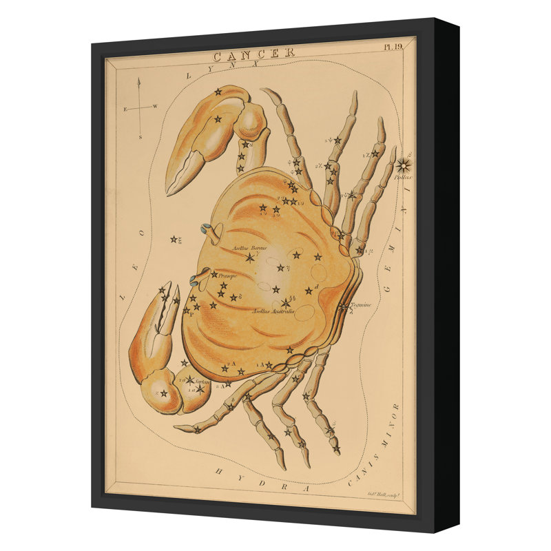 Cancer Print by Grand Archives, Black Framed, 22" H x 16" W