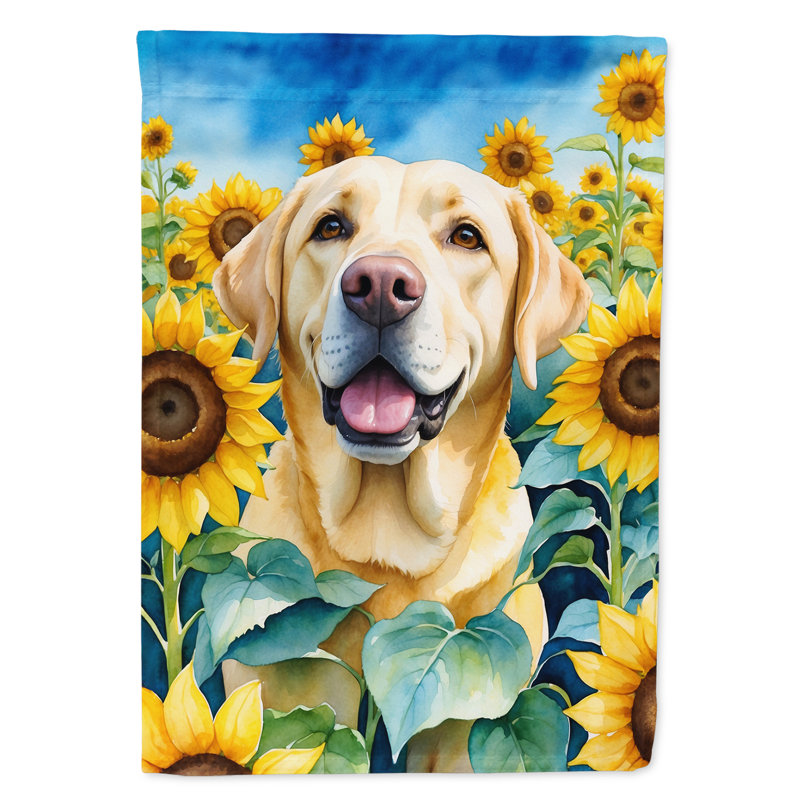 Lévrier irlandais dans le drapeau du jardin de tournesols, Labrador Retriever