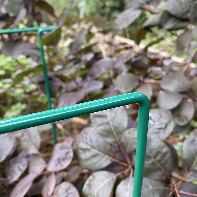 Aiedan Metal Weather Resistant Plant Support, 45 x 17 x  30 cm
