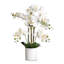 Arrangement de soie orchidée en pot