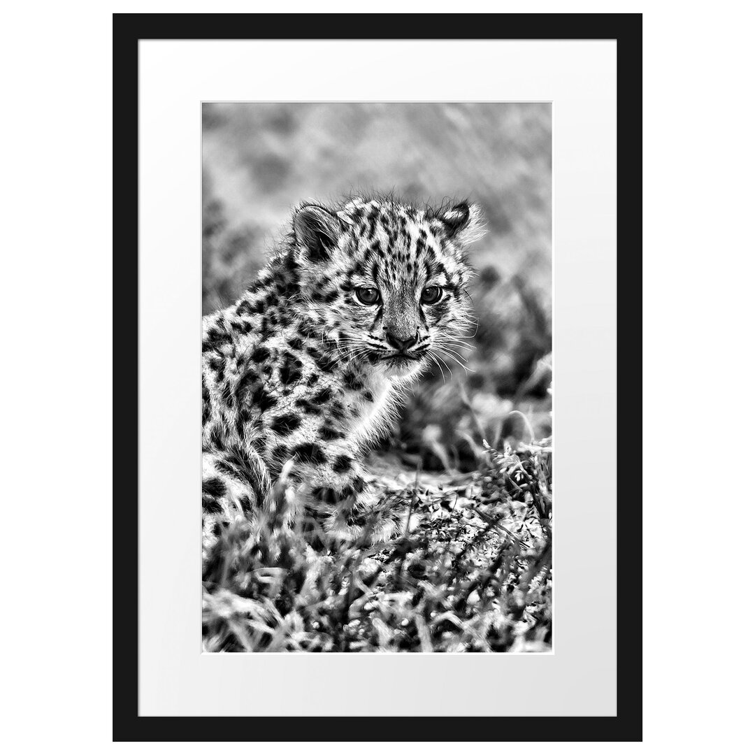 Gerahmtes Poster Junger Leopard im Gras