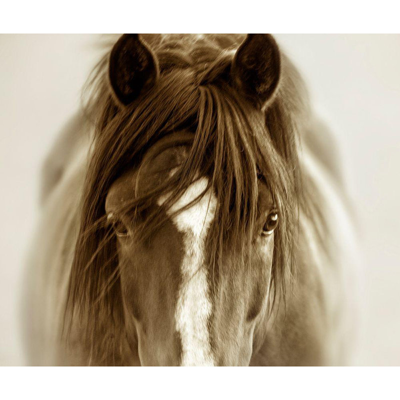 Art sur toile tendue Red Barrel Studio® Dearing, Lisa, titré: Ghost Horse, H 15 po x l 17 po