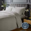 Silentnight Pure Cotton 200 TC Duvet Cover Set-112620288-112620290
