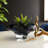 Drifting Landscape & Nature Figurines & Sculptures