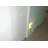 BEAR CLAW NIGHT LIGHT