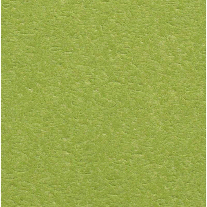 Chaise Adirondack d'extérieur POLYWOOD South Beach, Vert