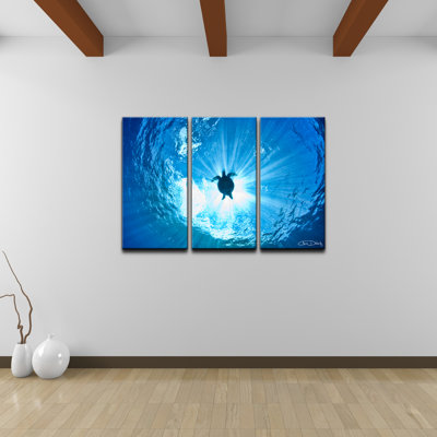 " Sea Turtle " by Christopher Doherty 3 - Pieces