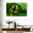 Brampt Green Python Eye-108730982