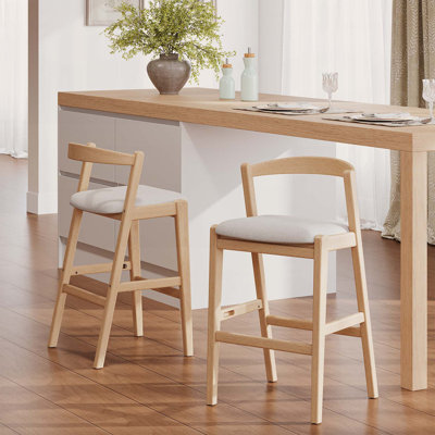 Ensemble de 2 chaises d'appoint confortables et élégantes