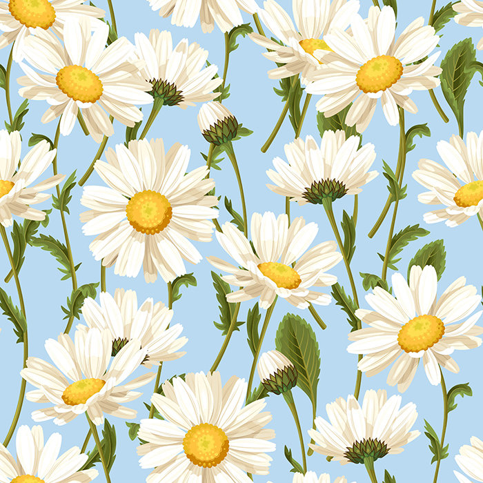 Nuneaton Utensil Chamomile Delicatework Wallpaper, 312 cm L x 219 cm W