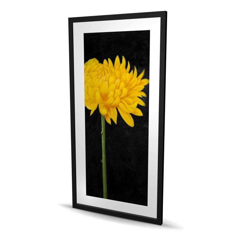 Chrysanthemum Rustic Black Framed Matted Print | Home Decor