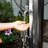 XtremepowerUS 6FT10 Solar Powered Outdoor Shower with Footwash and Adjustable Temperature, Freestanding Design