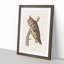 Long-Eared Owl by John Audubon - Picture Frame Painting Print-55580590-55580591