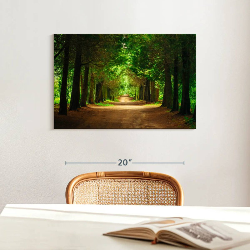 Sireci Park Tunnel Trees, 16" H x 24" W