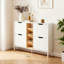 12 Pair Shoe Storage Cabinet