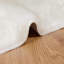Solid Colour Standard Area Rug-21298821
