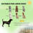 Multi-Shape Play & Training Pen