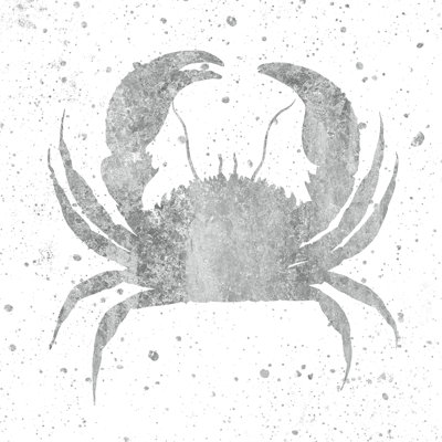 Silver Sea Life Crab by Wild Apple Portfolio - Wrapped Canvas Painting