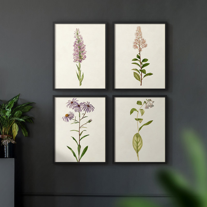 «Mauve Garden Flowers I», ensemble de 4 encadrées, Noir, H 14 po x l 11 po