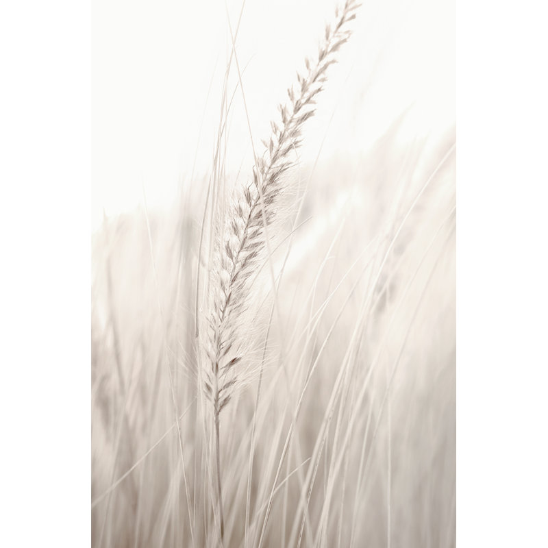 Impression sur toile tendue Ilex Studio III - Grass par 1X, H 18 po x l 12 po