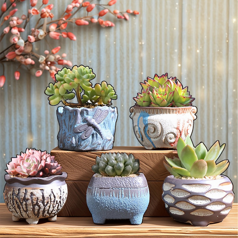 5 petits pots