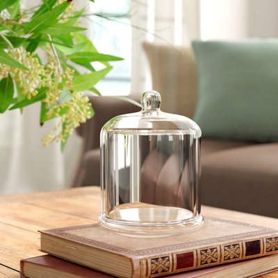 Urnes et pots en verre transparent de 6 po Edington