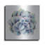 «Tropical Plant V» par Grace Popp-497049420