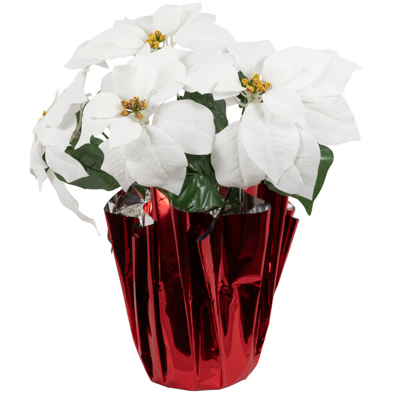 Arrangement de poinsettias, Blanc, Rouge, H 14,5 po x l 11,5 po x P 11,5 po