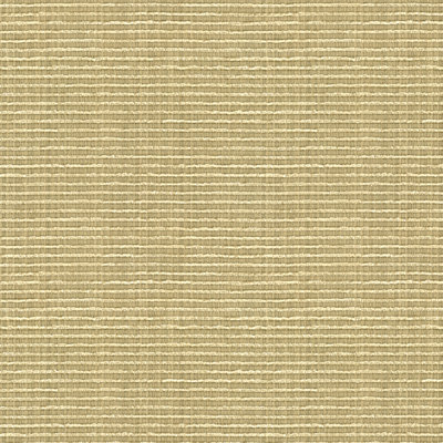 Texture Fabric