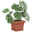 Plant Stand-1301699634-1301699630