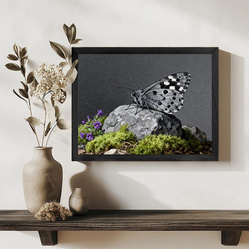 Reproduction d'art encadré noir avec papillons et fleurs rétro de style rétro, H 9 po x l 11 po