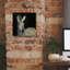 «Wild And Free 6 Black Sq» par James Wiens, art mural sur toile-1893285415
