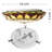Uchis Glass Flush Mount