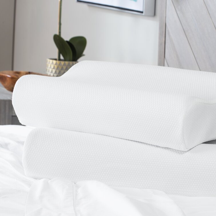 SensorPEDIC Classic Contour Memory Foam Bed Pillow & Reviews - Wayfair  Canada