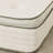 Avocado Green Mattress-124283180-124283182
