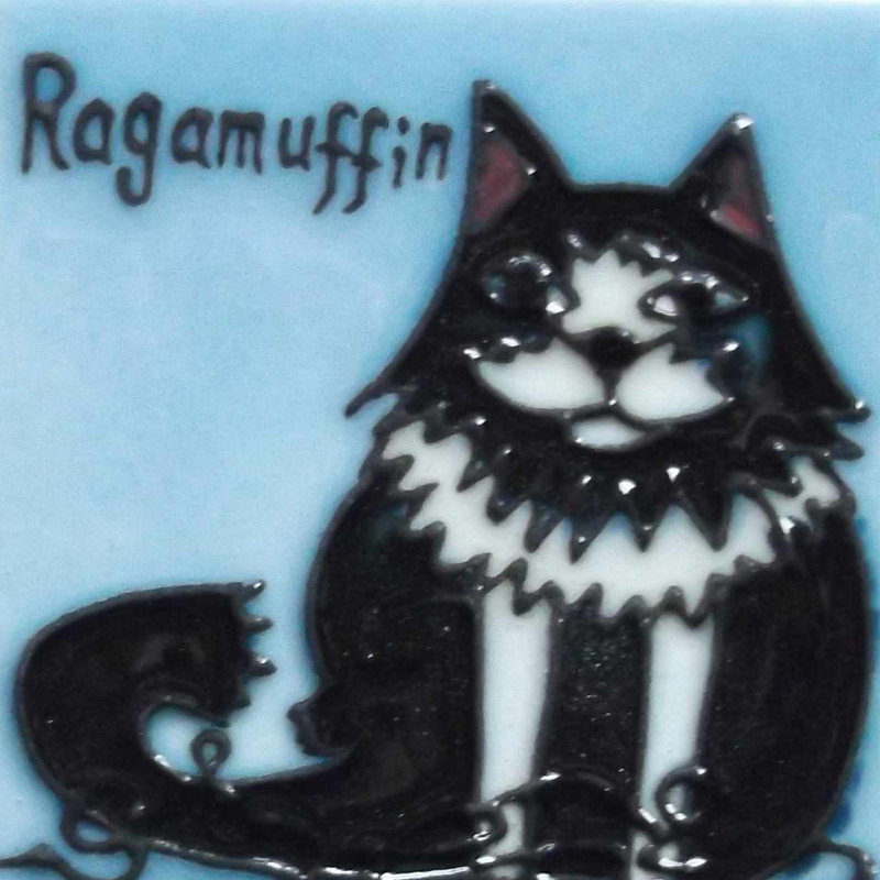Aimant pour carreaux de céramique Conwell Ragamuffin