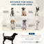 Elevated Pet Bed - Gray With Hidden Storage For Small & Medium Dogs , Cushion, Included, Easy To Assemble